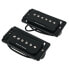 Фото #1 товара Seymour Duncan SHPR-1S P-Rail Set Flat BK