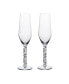 Фото #1 товара Carat Champagne Glass Set, 2 Pieces