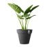 Plant pot Elho 8403604042500 Anthracite Ø 40 cm