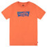 ფოტო #1 პროდუქტის LEVI´S ® KIDS Distressed Batwing short sleeve T-shirt