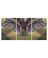 Фото #1 товара Decor Lavender Cherry 3 Piece Wrapped Canvas Wall Art Garden -20" x 40"