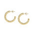 Elegant gold-plated earrings circles Creole SAUP02