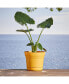 Фото #2 товара SP1423 Saturn Planter w/ Saucer 14" Earthy Yellow