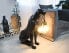 Lampe Sitzender Panther