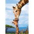 Puzzle Giraffenmutterkuss