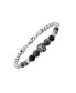 Men's Stainless Steel Curb Chain Link Bracelet and Black or Gray Agate Stones with Lion Charm