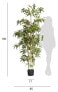 Фото #14 товара Искусственные цветы IBBE DESIGN Kunstpflanze Bambus 190 см