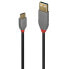 LINDY 2.0 1 m USB-C Cable