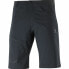 Men's Sports Shorts Salomon Wayfarer 37636 Moutain Black