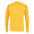 SALEWA Seceda Sryton long sleeve T-shirt