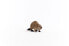 Фото #1 товара Игровая фигурка Schleich Beaver 14855 Wild Life (Дикая природа)