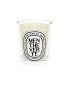 Diptyque Menth Verte Candles