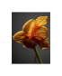 Фото #1 товара Обои для стен (канва) Trademark Global Flowers XI - 20" x 25"