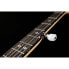 Фото #13 товара Gold Tone CC-100R 5 String Banjo Left