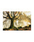 Фото #1 товара Christophe Kiciak November Trees Canvas Art - 37" x 49"