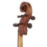 Фото #12 товара Gewa Allegro VC1 A Cello 4/4