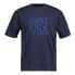 Фото #1 товара GANT Usa De Sunfaded short sleeve T-shirt