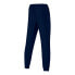 Фото #2 товара Pants Nike Academy 23 Track M DR1725-451