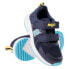 BEJO Barry trainers