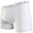 TOMMY HILFIGER UM0UM02604 Boxer