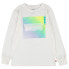 ფოტო #1 პროდუქტის LEVI´S ® KIDS Neon Gradient Logo long sleeve T-shirt