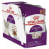 ROYAL CANIN Sensory Feel Gravy 85g Wet Cat Food 12 Units