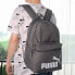 Puma Backpack 075487-45