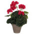 Фото #1 товара Декоративное растение Mica Decorations 11,5 x 33 cm Розовый PVC