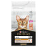 Фото #1 товара Сухой корм для кошек Purina Pro Plan Adult Derma Care 10 кг