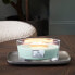 Фото #4 товара Sagewood & Seagrass Elipsa boat scented candle 453.6 g