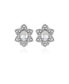 Silver-Tone Clear Glass Stone Flower Stud Clip-On Earrings