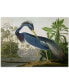 Фото #1 товара John James Audubon 'Louisiana Heron' Canvas Art - 47" x 35"