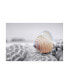 Фото #1 товара Alan Blaustein Crescent Beach Shells 15 Canvas Art - 27" x 33.5"