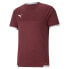 Фото #2 товара PUMA 704917 short sleeve T-shirt