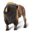 SAFARI LTD Wildlife Bison Figure