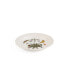 Botanic Garden Harmony Amber 4 Piece Salad Plate Set