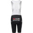 Фото #2 товара AGU Replica Visma | Lease a Bike 2024 Bib Shorts