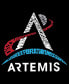 ფოტო #6 პროდუქტის Men's NASA Artemis Logo Raglan Baseball Word Art T-shirt