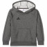 Фото #1 товара Детская толстовка Adidas HOODY Y CV3429 Серый