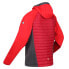 Фото #7 товара REGATTA Andreson VII Hybrid jacket