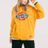 Trendy Clothing Dickies - Hoodie DK007028B33