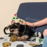 Фото #3 товара Игрушка для собак The Mandalorian Зеленый 13 x 11 x 25 cm