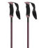 ATOMIC Amt Carbon Sqs Q poles