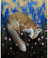 Фото #2 товара Ruben Carrasco Fox Dream Museum Mounted Canvas 16" x 20"