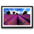 Фото #1 товара Gerahmtes Bild Lavender
