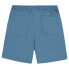 Фото #4 товара DICKIES Pelican Rapids shorts