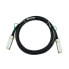 Фото #1 товара BlueOptics XLDACBL1-BL - 1 m - QSFP - QSFP - Male/Male - Black - 40 Gbit/s