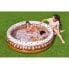 Фото #4 товара Бассейн Bestway Fill 'n Fun Ice Cream 160x38 cm Round Inflatable Pool