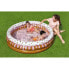 BESTWAY Fill ´n Fun Ice Cream 160x38 cm Round Inflatable Pool Разноцветный, 390L - фото #5