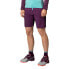 DYNAFIT Transalper Light Dynastretch Shorts